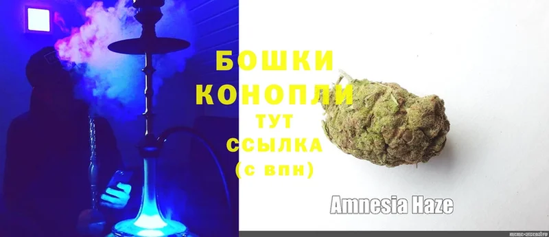 МАРИХУАНА Amnesia  Яровое 